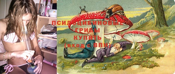 трава Аркадак